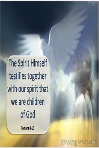 Romans 8:16 The Spirit Himself Beareth Witness With Our Spirit (navy)